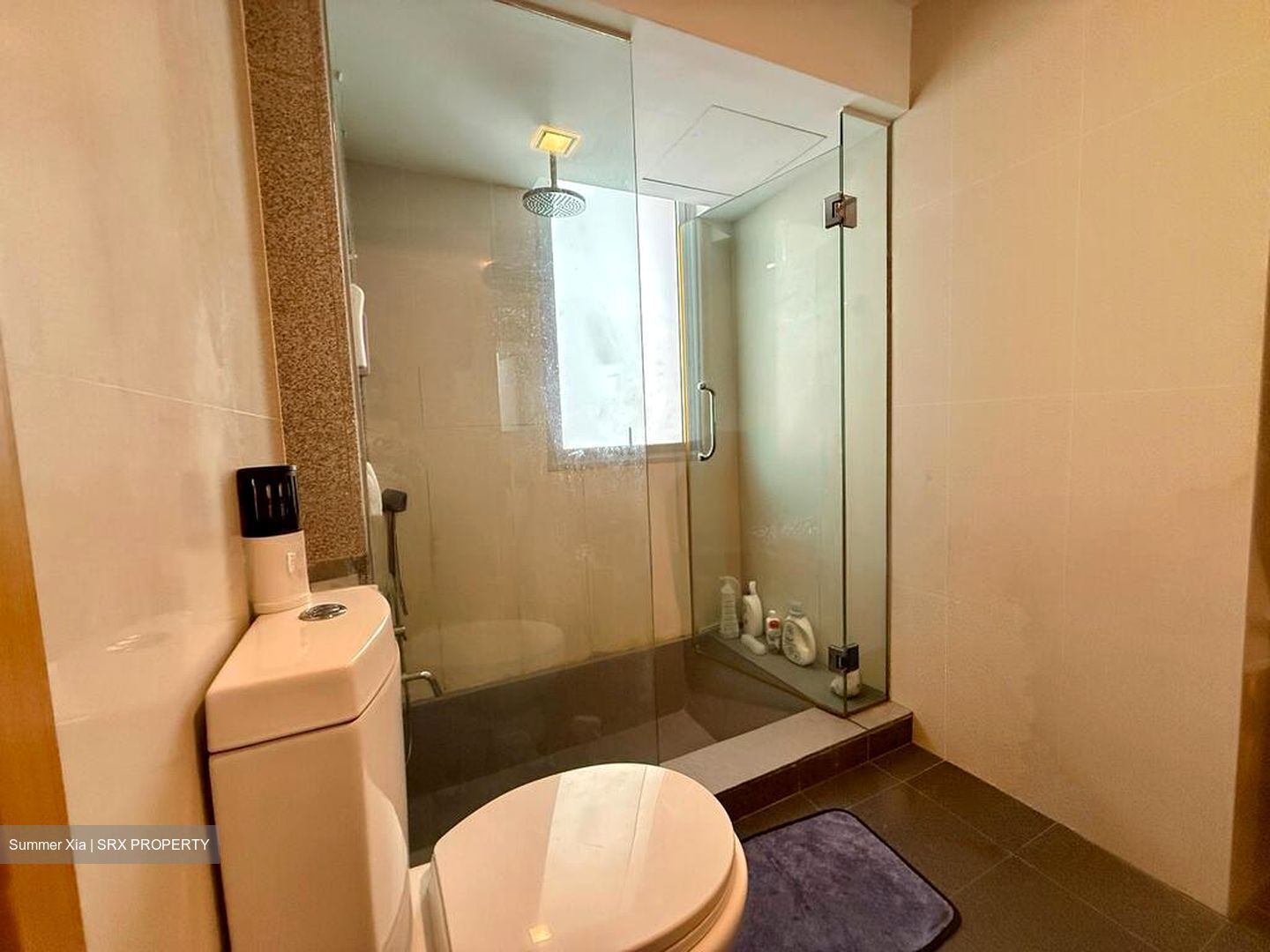 8 @ Mount Sophia (D9), Condominium #506387711